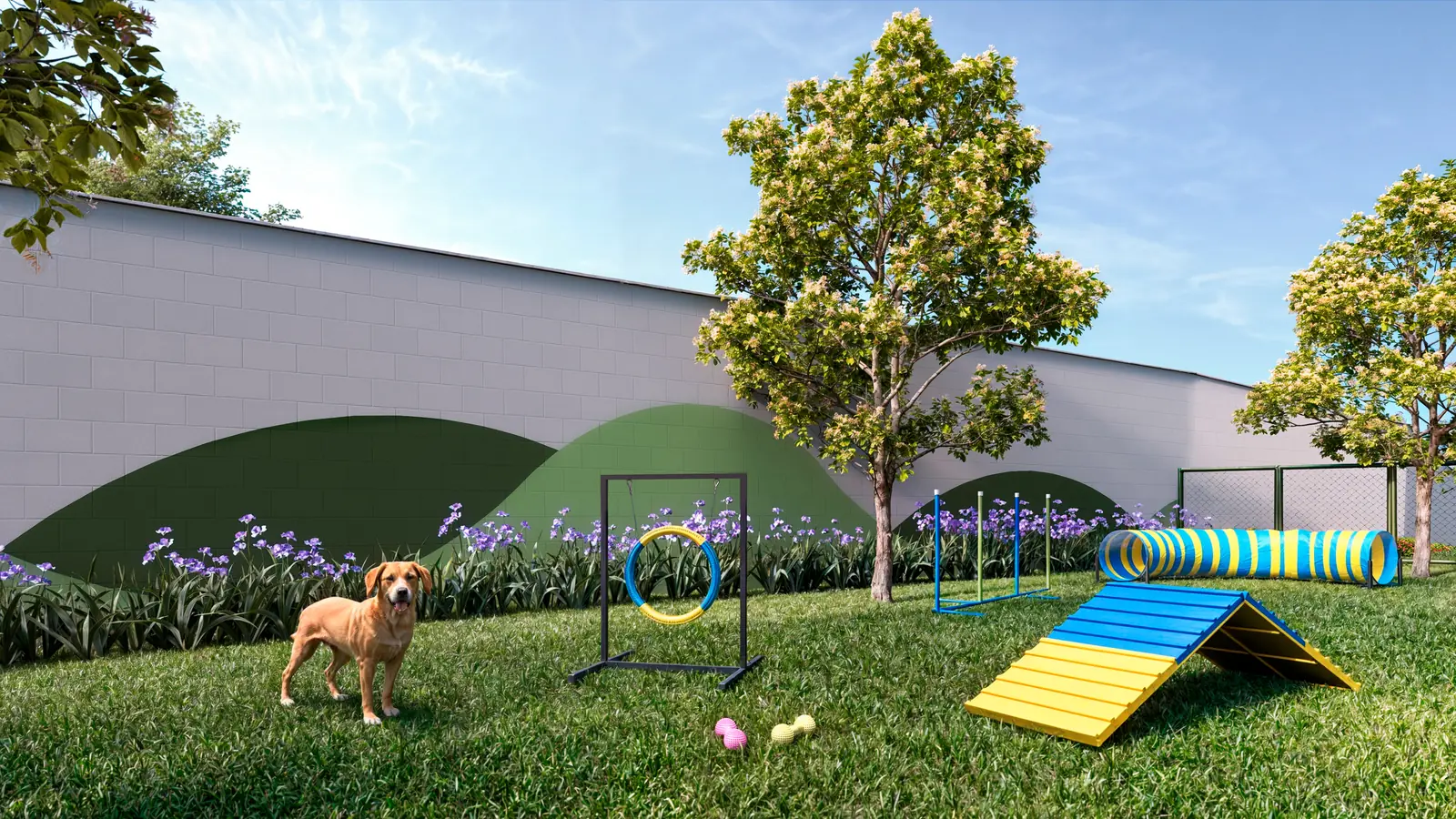 Pet place gramado do Vitória Íris, com obstáculos de agility e um cachorro