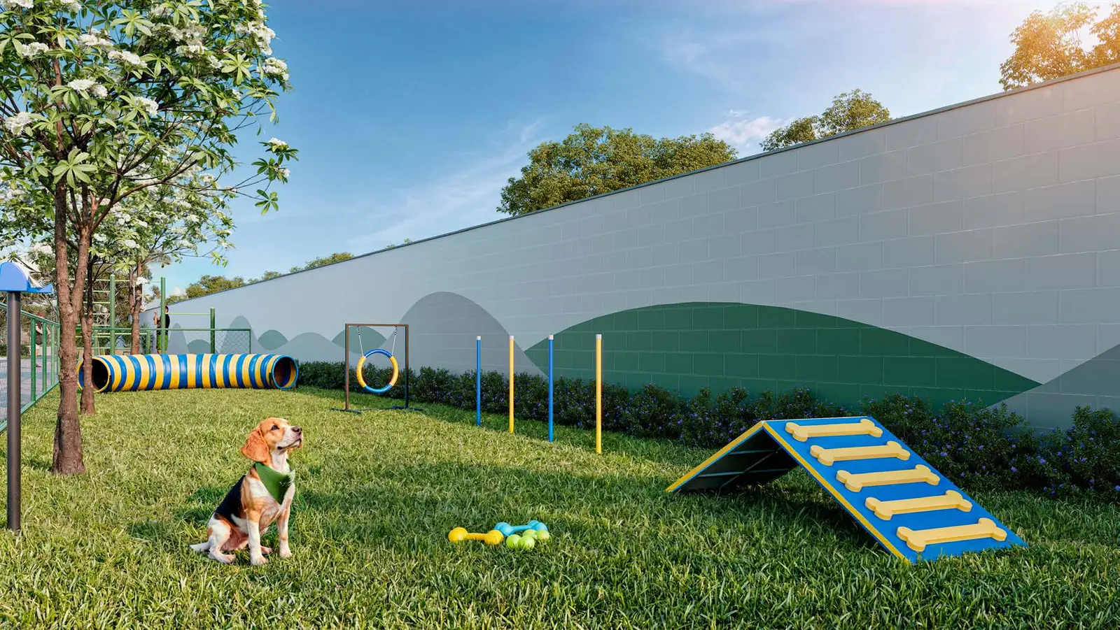 Pet place do Vitória Jasmim, com túnel, argola e rampa de agility sobre a grama